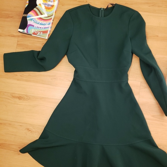 Zara Skater Dress - Picture 1 of 2
